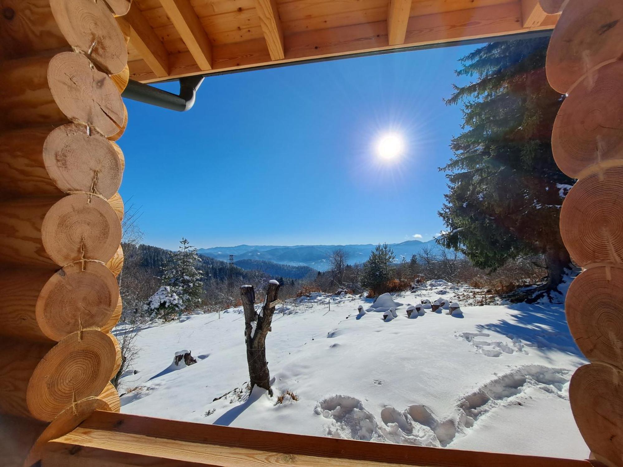 Вила Брезите Pamporovo Exterior foto